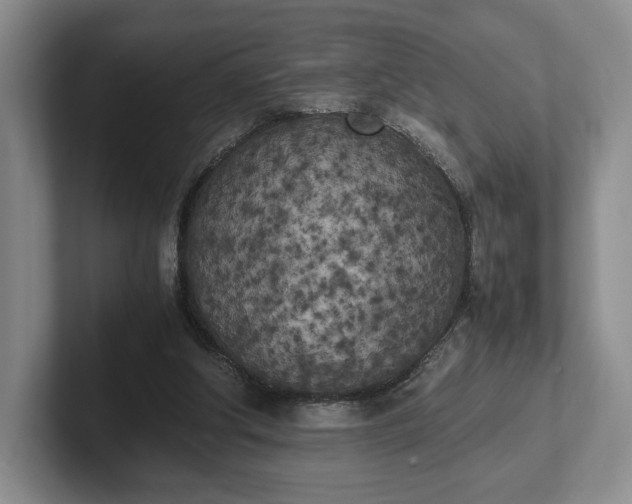 X0000102470202200808151436