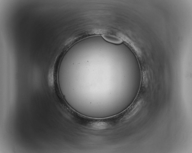 X0000102470203200808151435