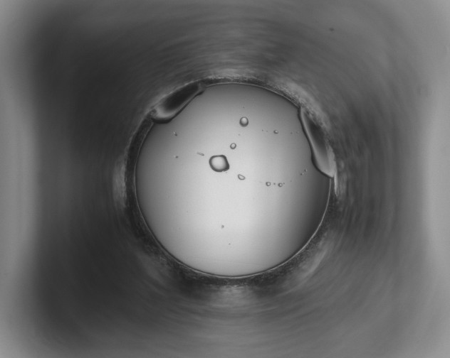 X0000102470204200808151435