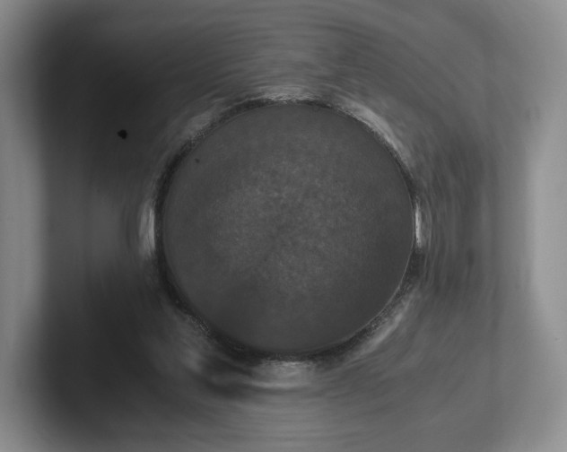 X0000102470205200808151435