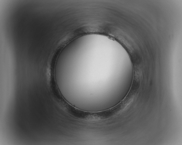 X0000102470207200808151435