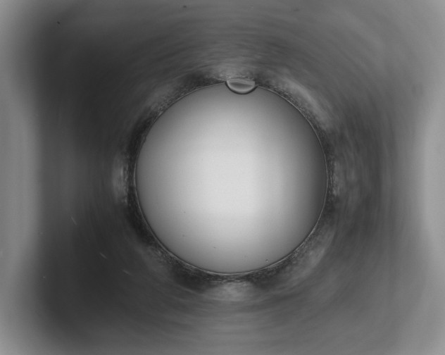 X0000102470210200808151435