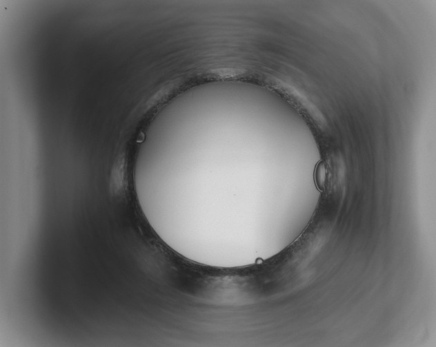 X0000102470212200808151435