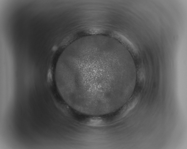 X0000102470214200808151435