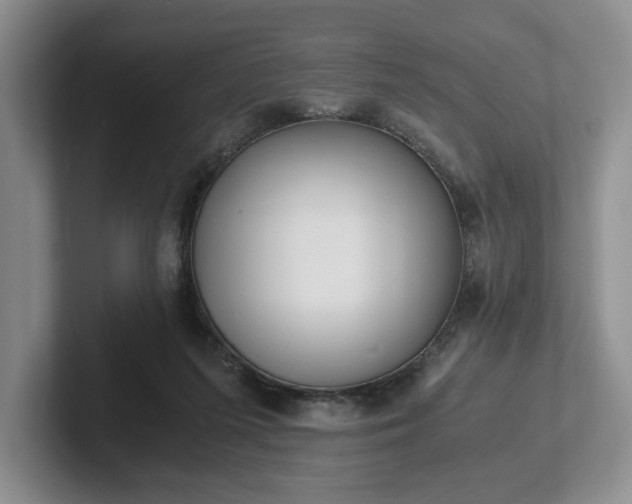 X0000102470215200808151435