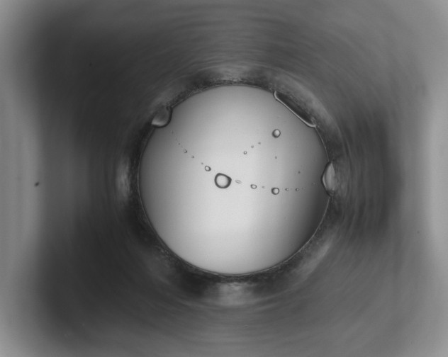 X0000102470216200808151435