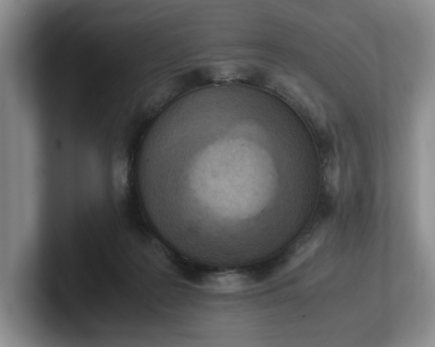 X0000102470219200808151435
