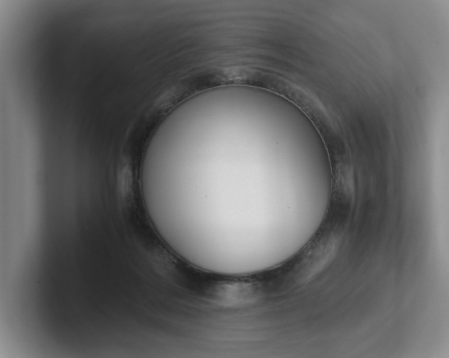 X0000102470220200808151435