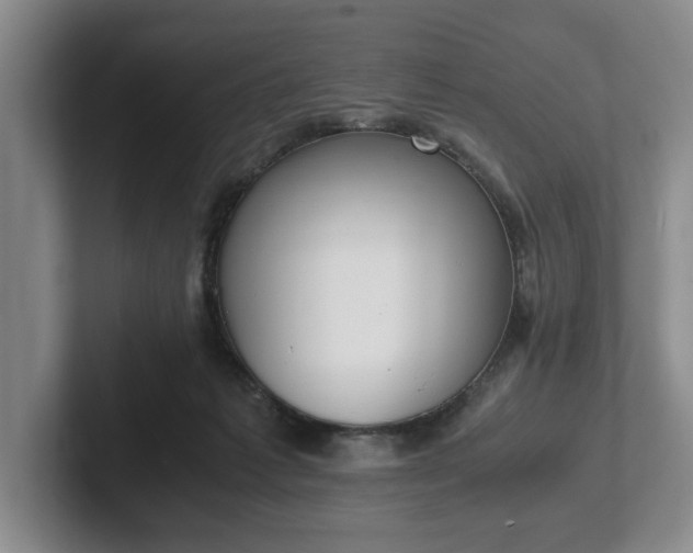 X0000102470221200808151435