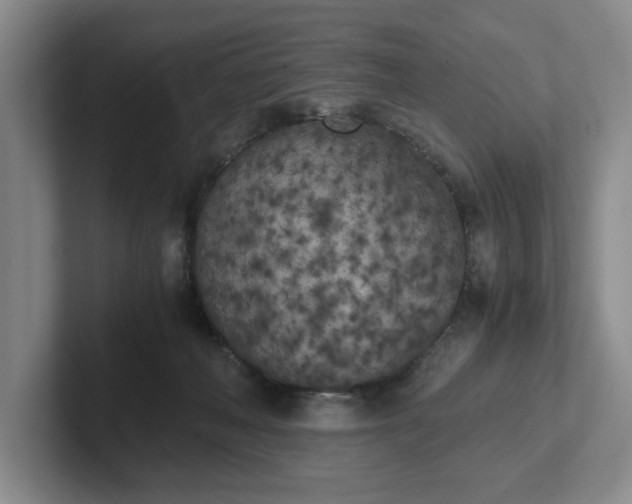 X0000102470222200808151435