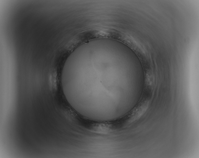 X0000102470223200808151435