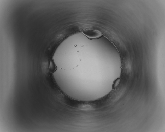 X0000102470224200808151435