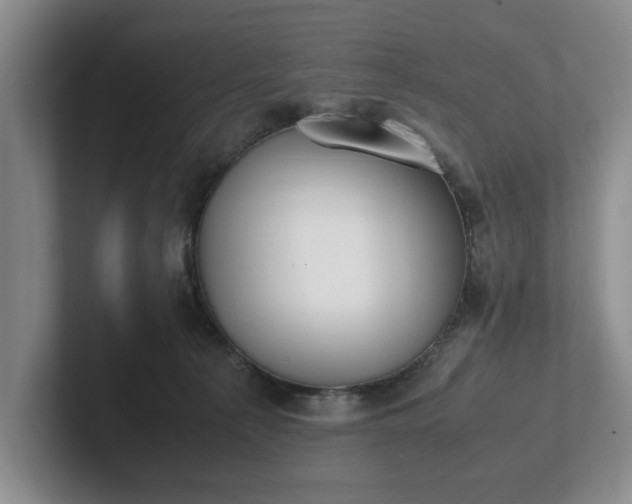 X0000102470225200808151435