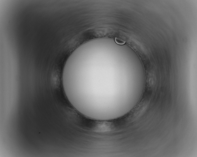 X0000102470226200808151435