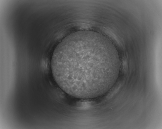 X0000102470228200808151435