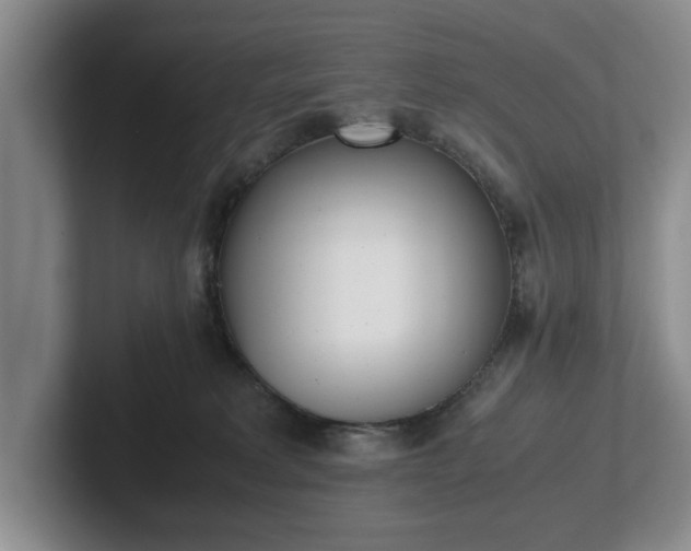 X0000102470229200808151435