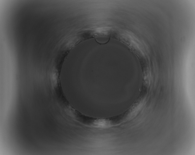 X0000102470231200808151435