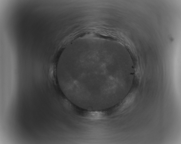 X0000102470233200808151435