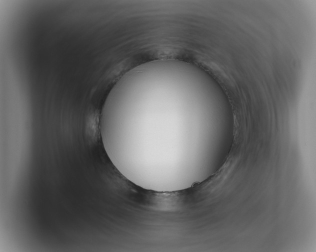X0000102470240200808151435