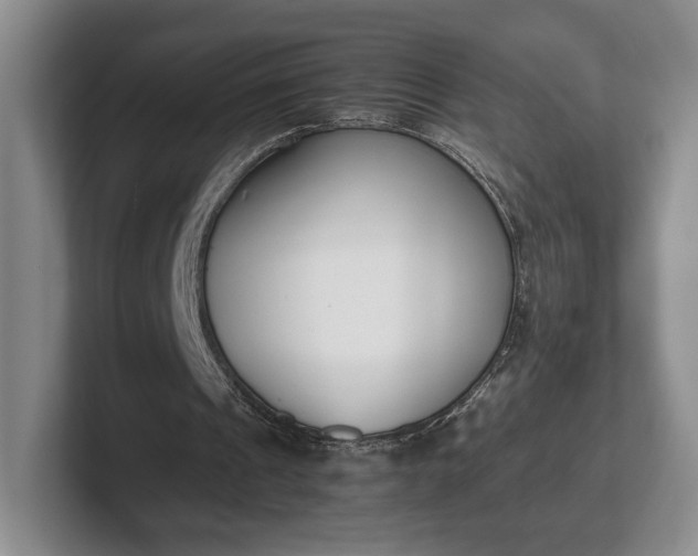 X0000102470241200808151434