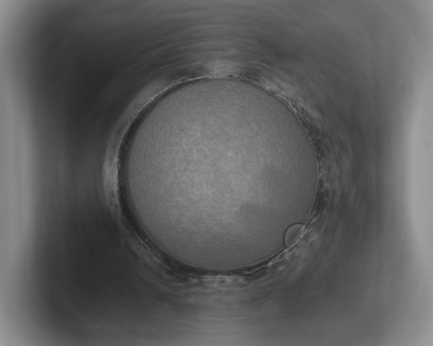 X0000102470242200808151434