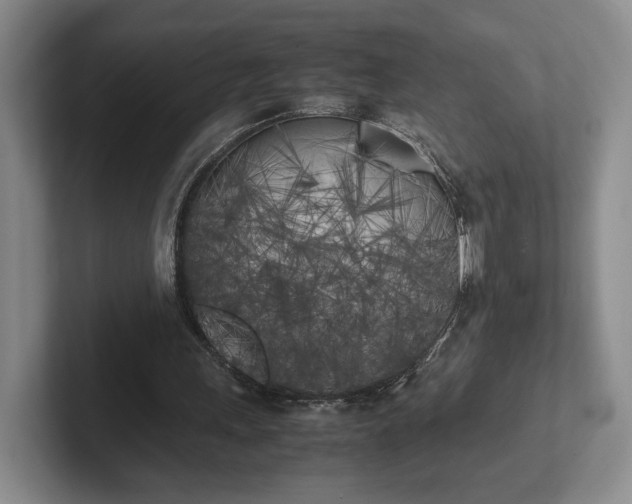 X0000102470243200808151434