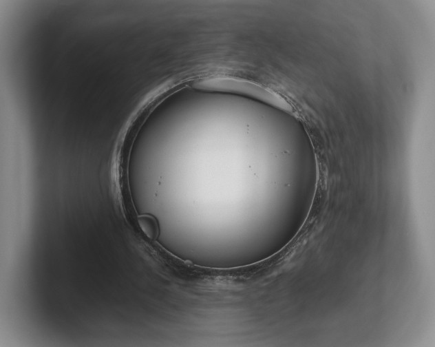X0000102470244200808151434