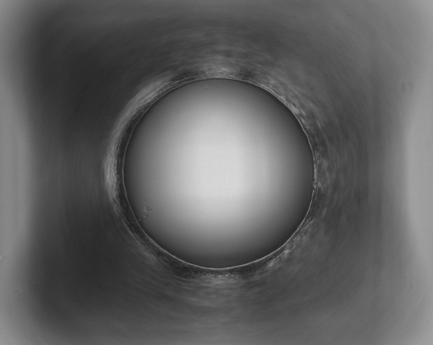 X0000102470245200808151434