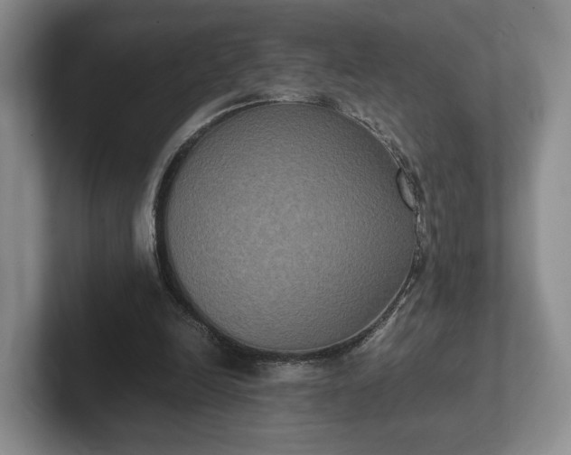 X0000102470246200808151434