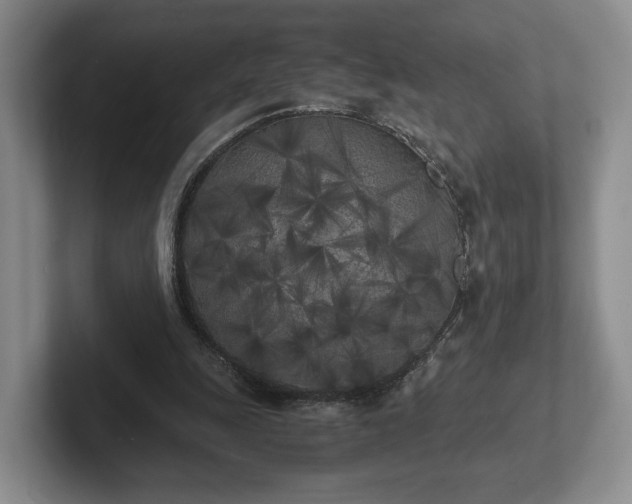 X0000102470247200808151434