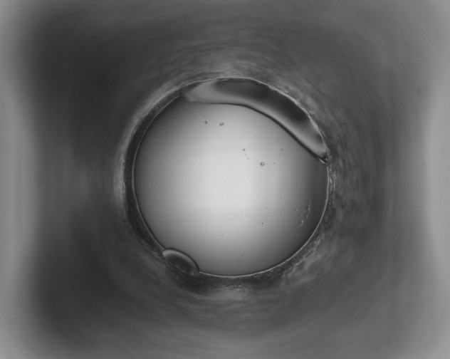 X0000102470248200808151434