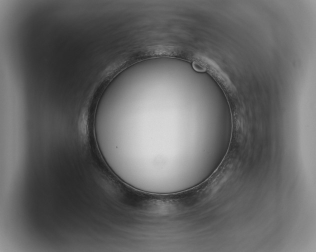 X0000102470250200808151434