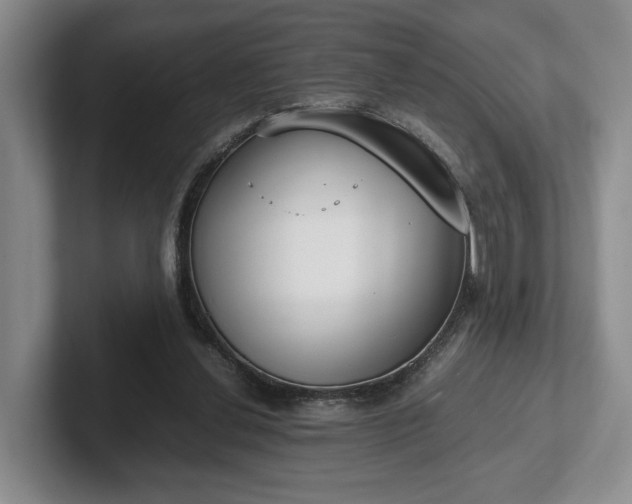 X0000102470252200808151434