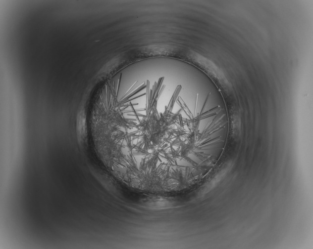 X0000102470254200808151434