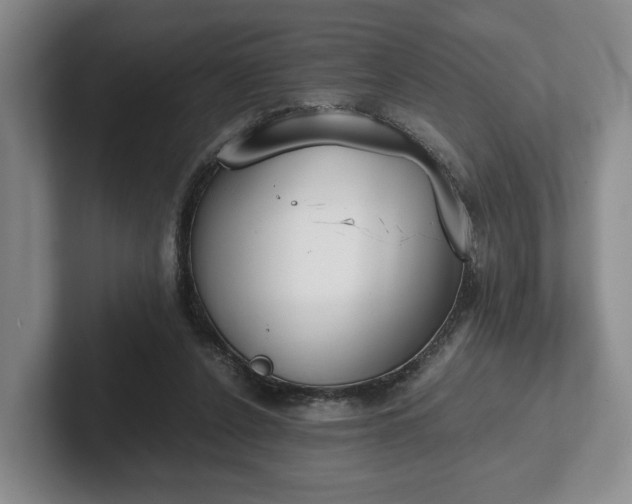 X0000102470256200808151435
