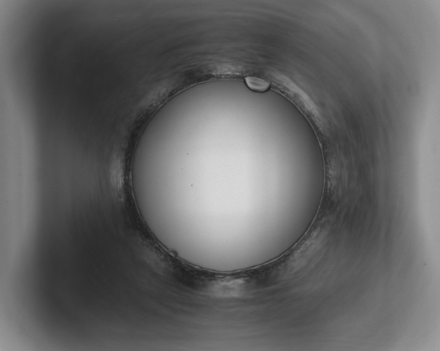 X0000102470257200808151435
