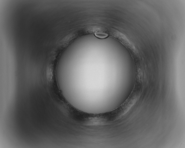X0000102470259200808151435
