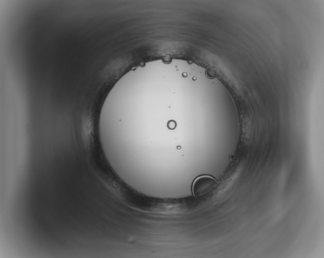 X0000102470260200808151435