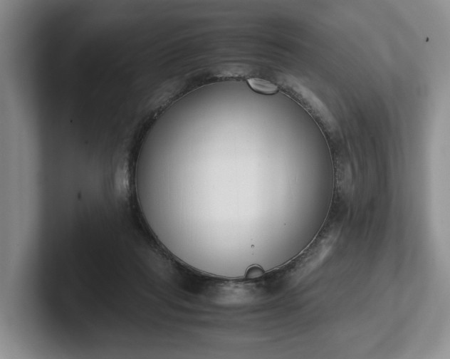 X0000102470261200808151435