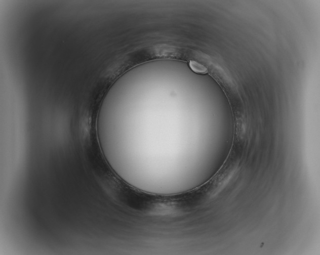 X0000102470263200808151435