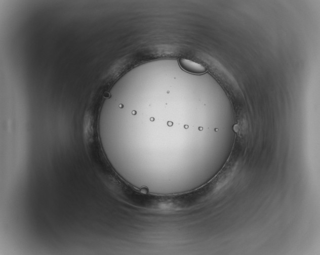 X0000102470264200808151435