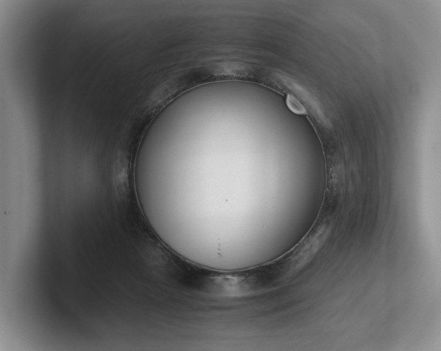 X0000102470265200808151435