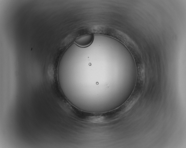 X0000102470266200808151435
