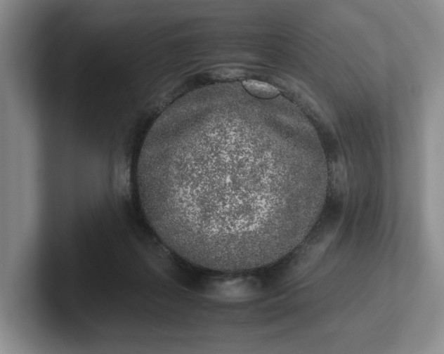 X0000102470267200808151435