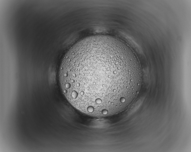 X0000102470269200808151435