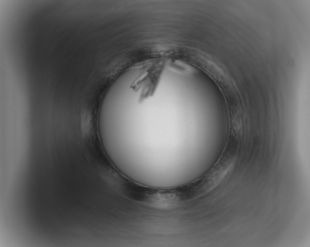 X0000102470270200808151435