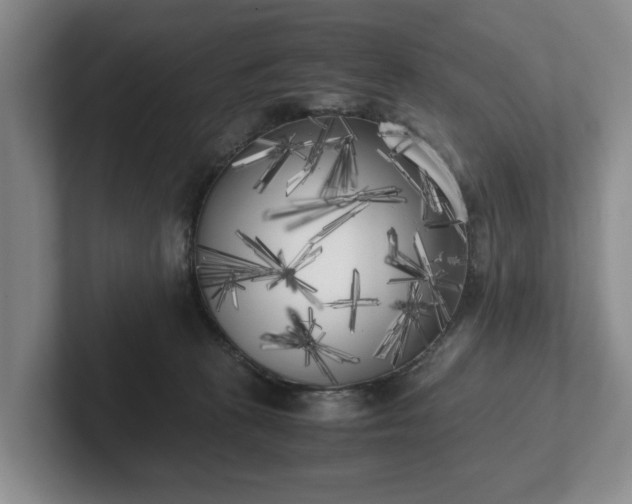 X0000102470273200808151435