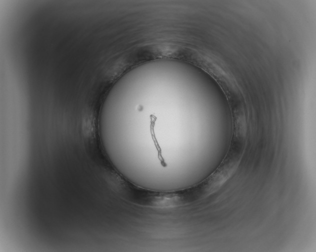 X0000102470274200808151435