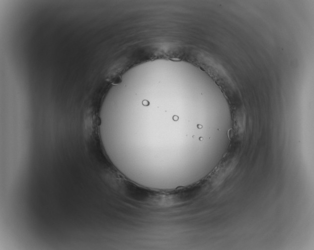 X0000102470276200808151435