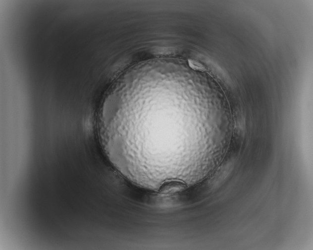 X0000102470277200808151435